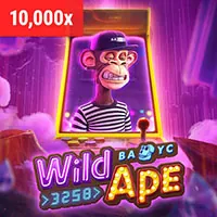 Hoàn trả hàng ngày và hàng tuần Vipwin