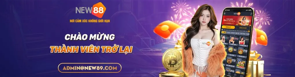Hình ảnh chính về hoạt động hoàn trả hàng ngày/hàng tuần của Vipwin