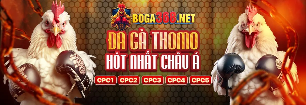Tổng quan các loại trò chơi Vipwin